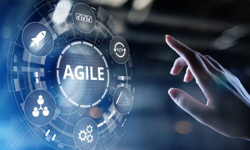 Agile Professionals Skills Development